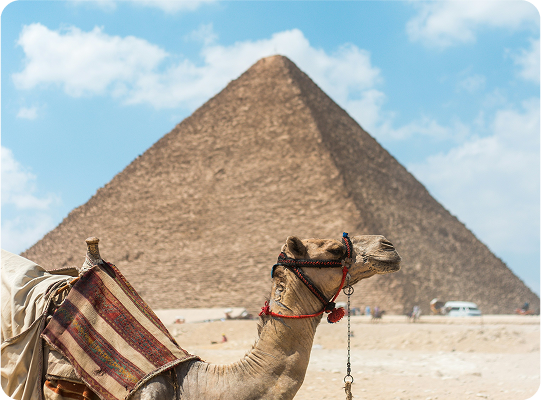 Footsteps of the Pharaohs